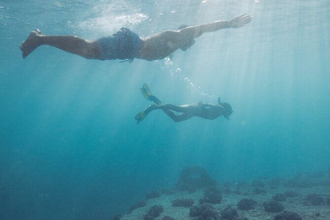 Kayak, Snorkel, and Surf with Turtles in Honolulu - The Sum Up: Is It Worth It?