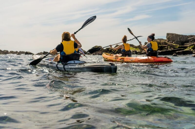 KAYAK & SNORKEL in Hondarribia - Unpacking the Experience: What to Expect from the Kayak & Snorkel Tour