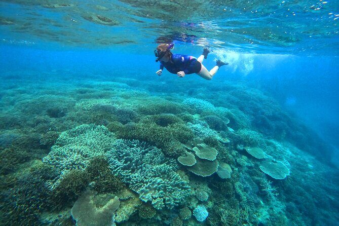 Kayak & Snorkel: private tour in Yanbaru, north Okinawa - Who Should Consider This Tour?