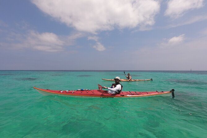 Kayak & Snorkel: private tour in Yanbaru, north Okinawa - Final Thoughts