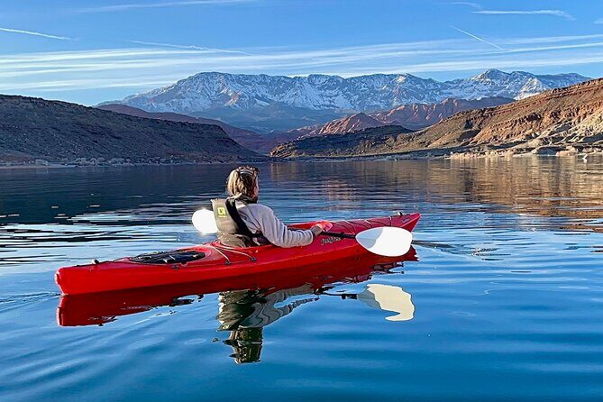 Kayak/SUP Tour: Birds, Beavers, Turtles, maybe even Cliff Jumping - The Sum Up