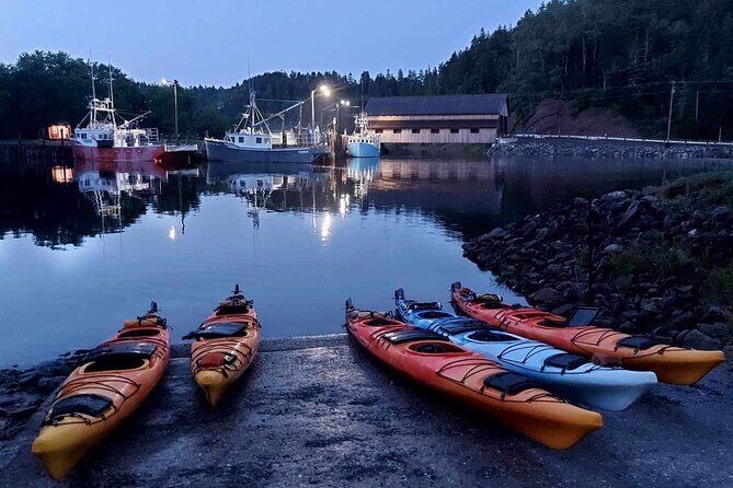 Kayak the Bay of Fundy Sea Caves - What Reviewers Say