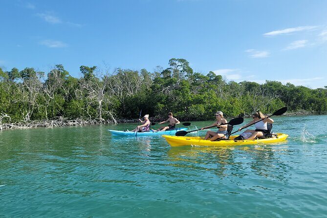Kayak through Mangrove Forests in the Florida Keys - Key Points
