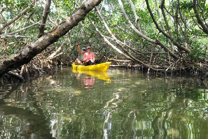 Kayak through Mangrove Forests in the Florida Keys - Practical Details and Considerations