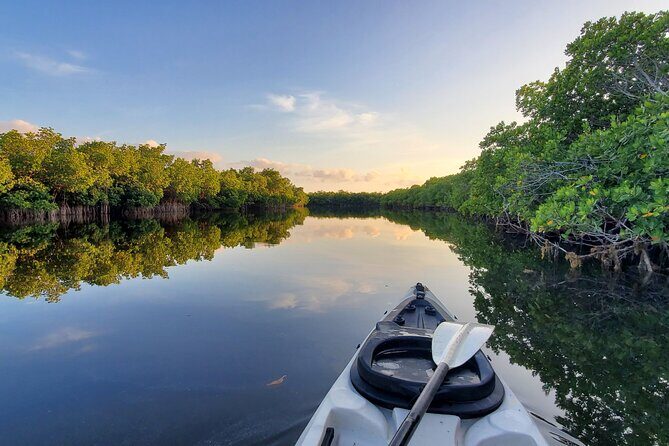 Kayak through Mangrove Forests in the Florida Keys - Authentic Experiences from Real Travelers