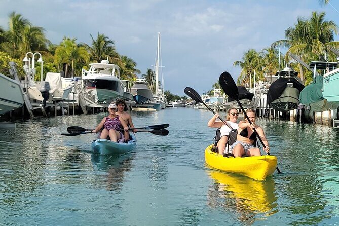 Kayak through Mangrove Forests in the Florida Keys - The Sum Up: Who Should Consider This Tour?