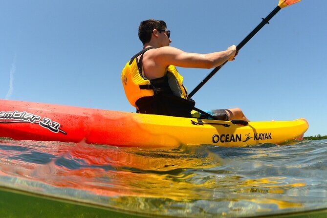 Kayak Tour and Rental - A Deep Dive into the Miami Kayak Experience
