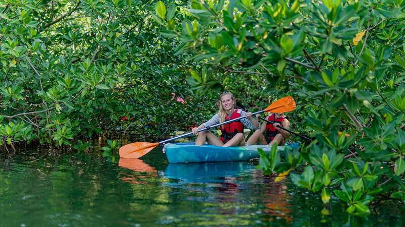 Kayak Tour in Cancun with Photos included - Who Will Enjoy This Tour Most