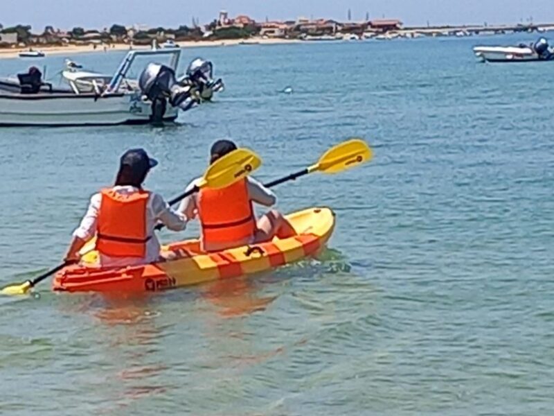 Kayak Tour in Ria Formosa - Olhão - What to Expect from the Kayak Tour in Ria Formosa