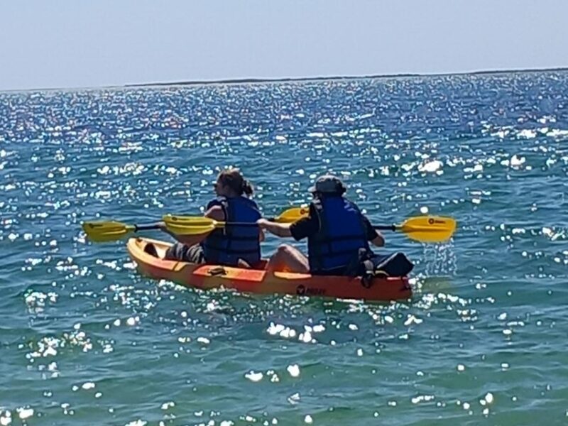 Kayak Tour in Ria Formosa - Olhão - Who Will Love This Tour?