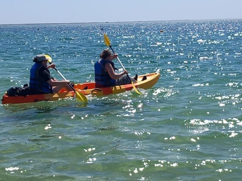 Kayak Tour in Ria Formosa - Olhão - The Sum Up