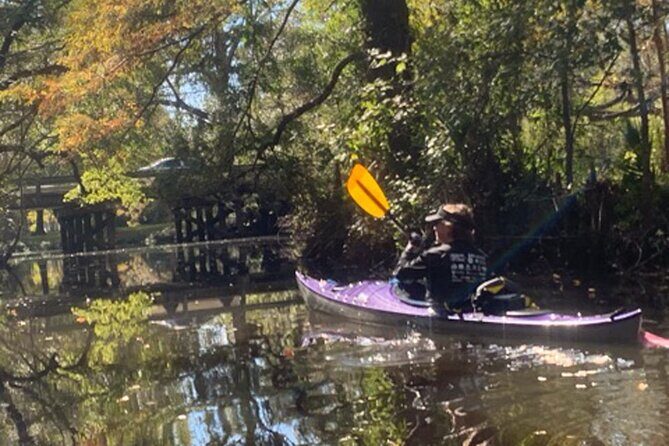 Kayak Tour Of The Honey Island Swamp and Backwaters - Key Points