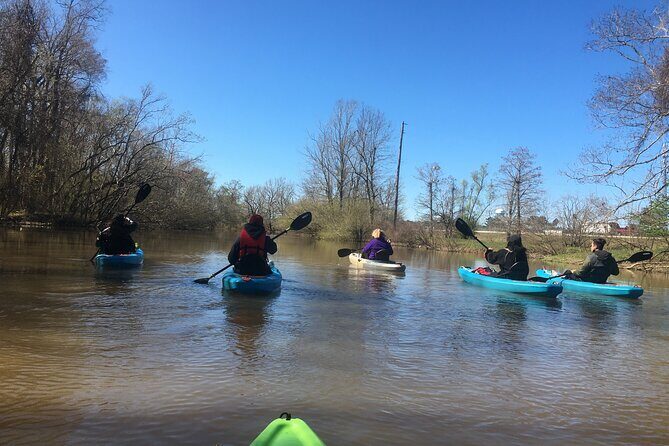 Kayak Tour Of The Honey Island Swamp and Backwaters - The Unique Highlights