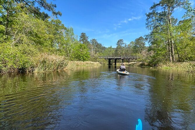 Kayak Tour Of The Honey Island Swamp and Backwaters - The Equipment and Comfort