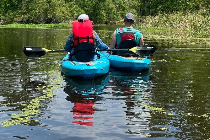 Kayak Tour Of The Honey Island Swamp and Backwaters - Pricing and Value