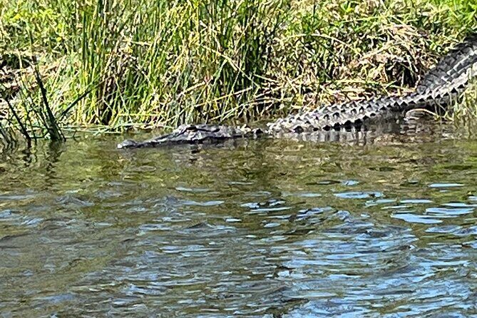 Kayak Tour Of The Honey Island Swamp and Backwaters - The Experience’s Real Strengths