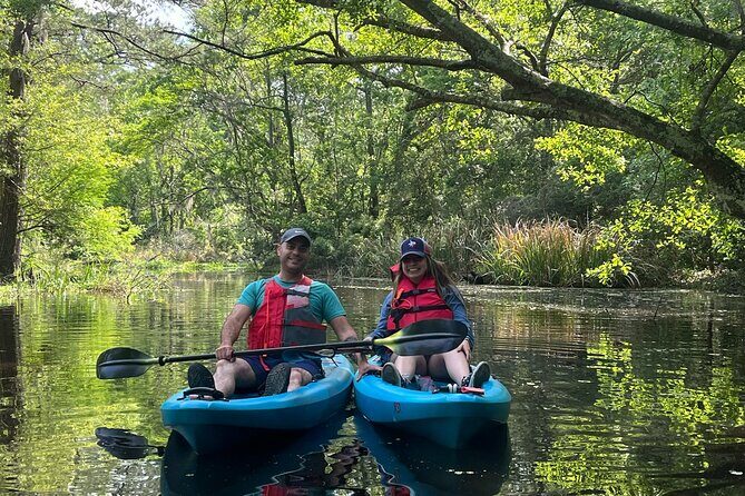 Kayak Tour Of The Honey Island Swamp and Backwaters - Possible Drawbacks