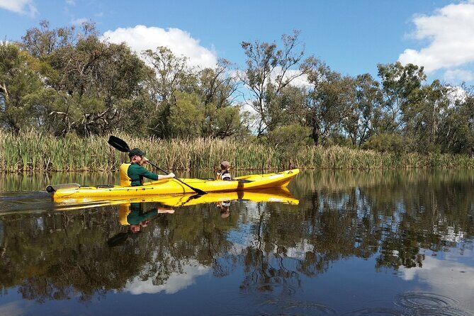 Kayak Tour on the Canning River - A Detailed Look at the Kayaking Experience
