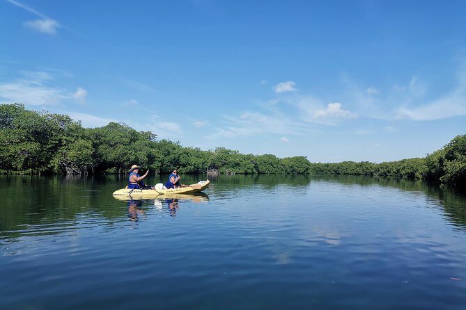 Kayak TOUR POR Laguna Nichupte Cancun - The Value Proposition