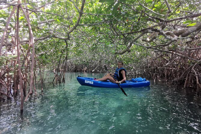 Kayak TOUR POR Laguna Nichupte Cancun - Practical Tips for Participants