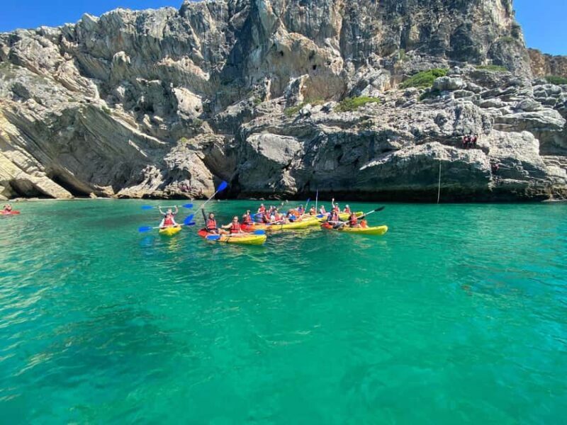 Kayak Tour - Wild Beaches - FAQ