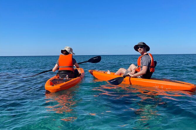 Kayak Tour with Local Guide - An In-Depth Look at the Kayak Tour Experience