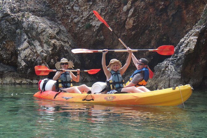 Kayak tour with snorkeling and marine biologist - What Makes This Kayak & Snorkel Tour Stand Out?