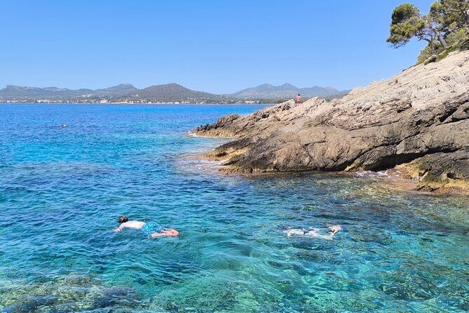 Kayak Tour with Snorkeling and Picnic - The Value and Cost