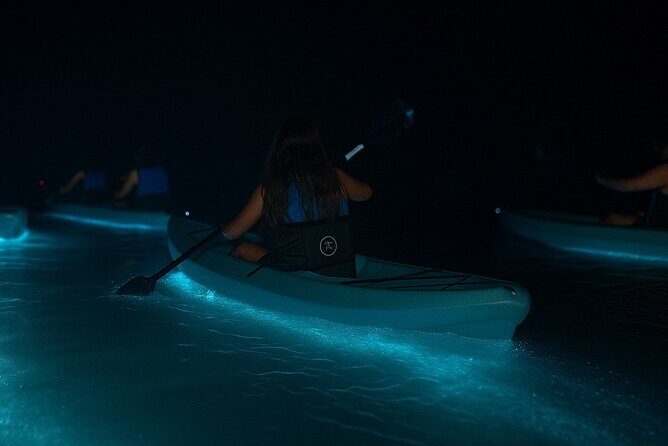 Kayak Tours and Rentals. Dolphins, Manatees, and Bioluminescence! - An In-Depth Look at the Tour Experience