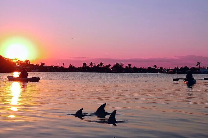 Kayak Tours and Rentals. Dolphins, Manatees, and Bioluminescence! - FAQ