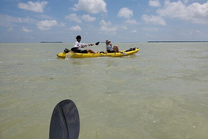 Kayak Trip, 1 Wet Hike + 2 dry hikes in Everglades National Park - An In-Depth Look at the Tour Experience
