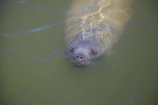 Kayak Trip, 1 Wet Hike + 2 dry hikes in Everglades National Park - Final Thoughts