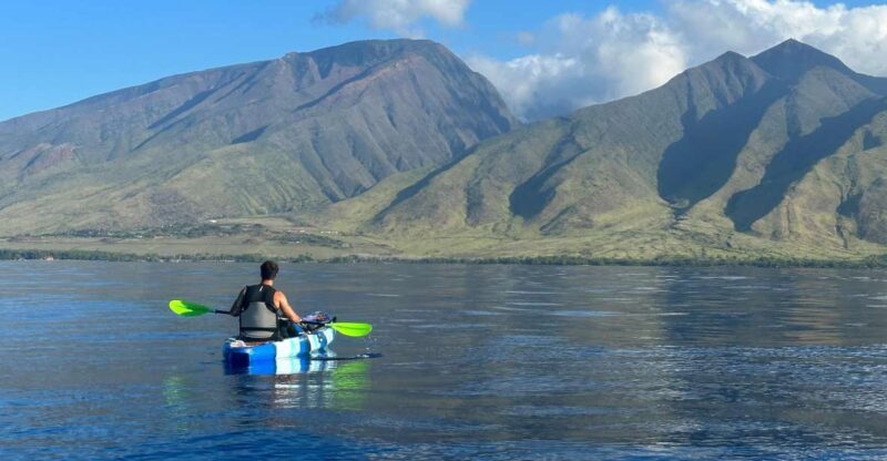 Kayak, Whale Watch And Snorkel At Turtle Town - What to Expect from This Maui Kayak Adventure