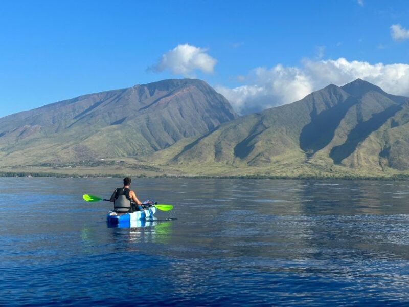 Kayak, Whale Watch And Snorkel At Turtle Town - Practical Details