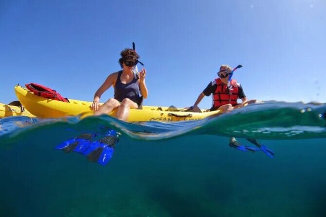 Kayak, Whale Watch and Snorkel - Key Points