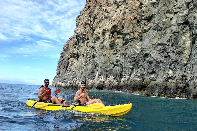 Kayak with Dolphin & Turtle Watching Private Tour - What We Think