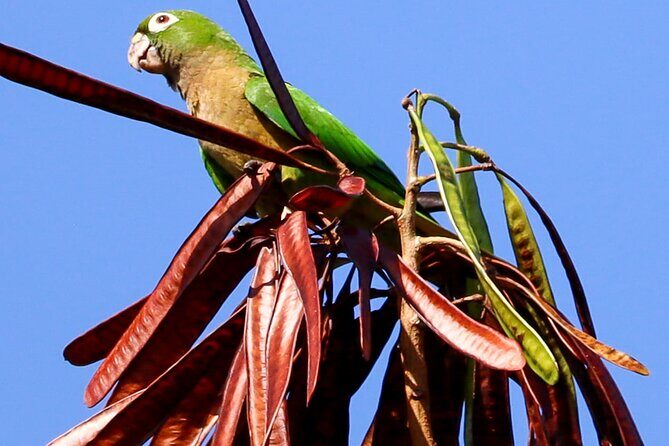 Kayaking Adventure at the Nichupte Lagoon in Cancun - What to Expect from the Itinerary