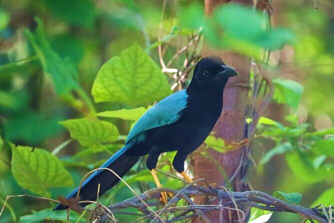 Kayaking Adventure at the Nichupte Lagoon in Cancun - Authentic Insights from Fellow Travelers