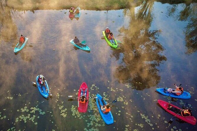 Kayaking adventure through the Xochimilco and Frida Kahlo Canals - An In-Depth Look at the Tour Experience
