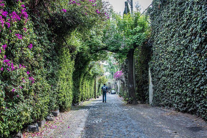 Kayaking adventure through the Xochimilco and Frida Kahlo Canals - What to Expect and How to Prepare
