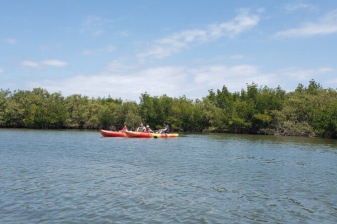 Kayaking Backwaters of New Smyrna Beach Ecotour/Birdwatching - The Experience: What to Expect on Your Kayaking Adventure