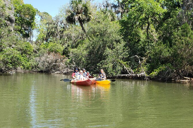 Kayaking Backwaters of New Smyrna Beach Ecotour/Birdwatching - Practical Tips for Participants