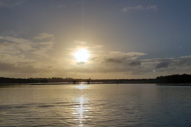 Kayaking Backwaters of New Smyrna Beach Ecotour/Birdwatching - Who Should Consider This Tour?