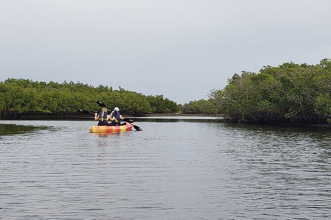 Kayaking Backwaters of New Smyrna Beach Ecotour/Birdwatching - The Sum Up