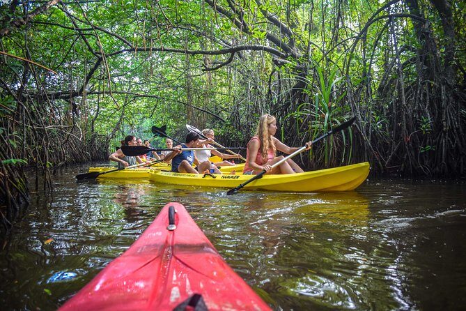 Kayaking from Ahungalla - Key Points
