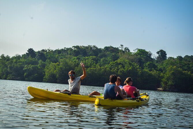 Kayaking from Ahungalla - An Authentic, Tranquil Journey into Sri Lanka’s Mangroves