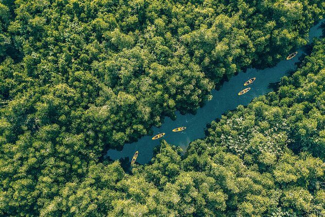 Kayaking from Bentota - An In-Depth Look at the Kayaking Experience