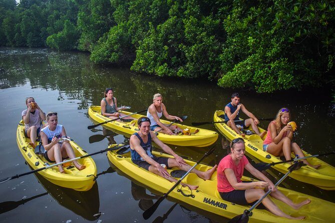 Kayaking from Bentota - Who Should Book This Tour?