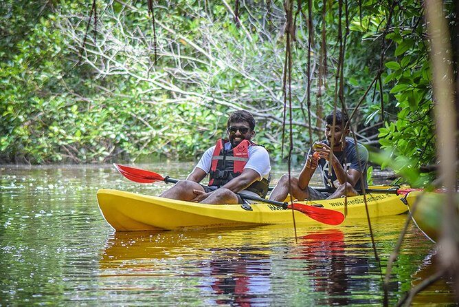 Kayaking from Bentota - The Sum Up: A Peaceful, Insightful Nature Escape