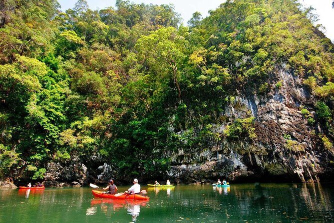 Kayaking in Ao Thalane - Discover the Mangrove life - The Experience in Action: What You Can Expect